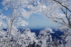 霧氷の先に