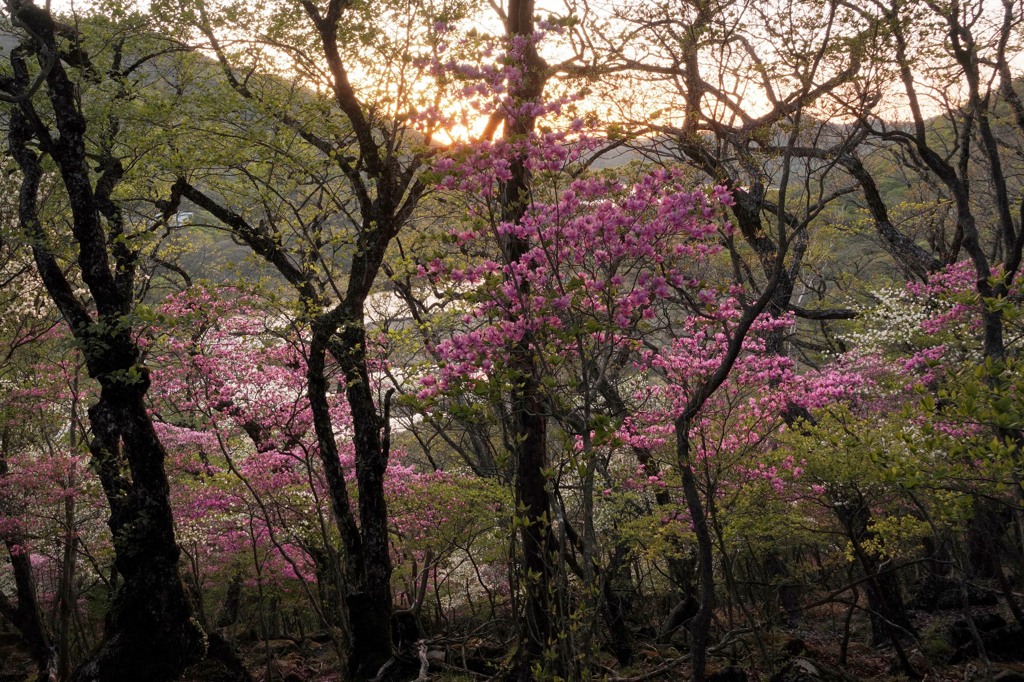 篭山の夕暮れ