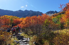 歓声響く登山道