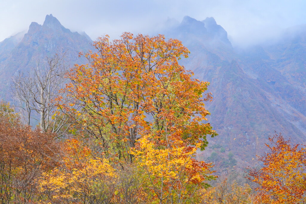二つの岩峰