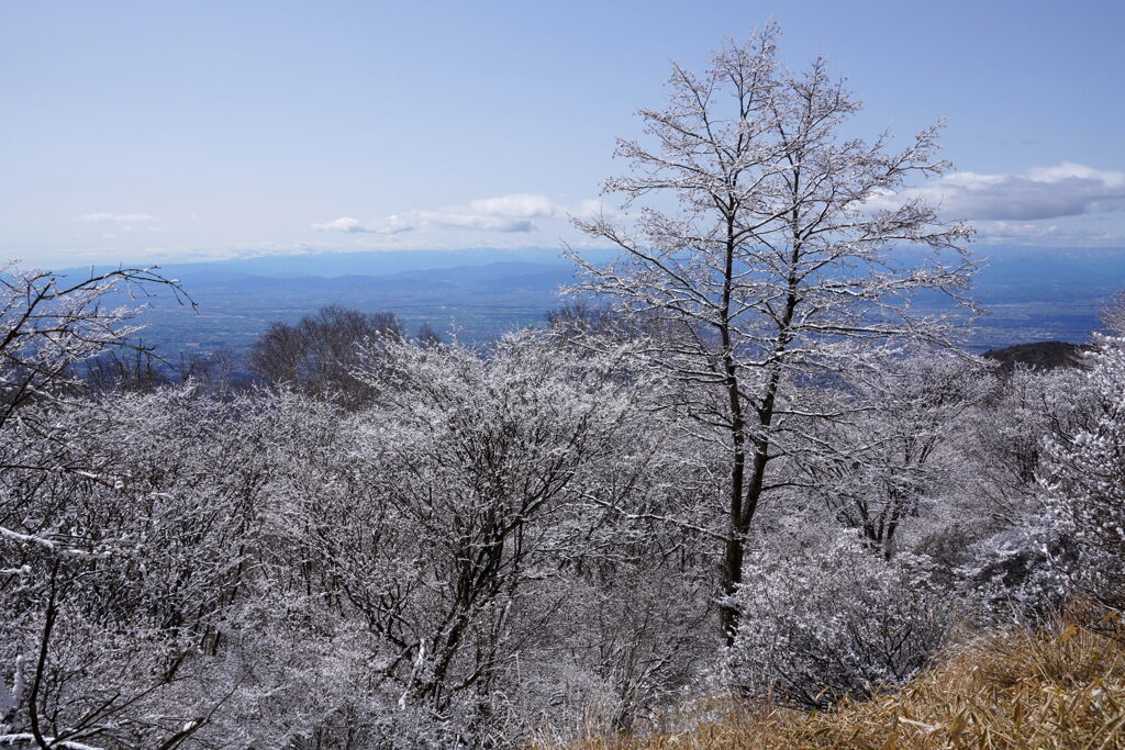 雪景色の荒山