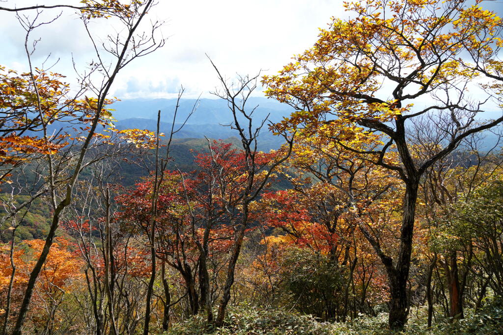 秋色の山旅