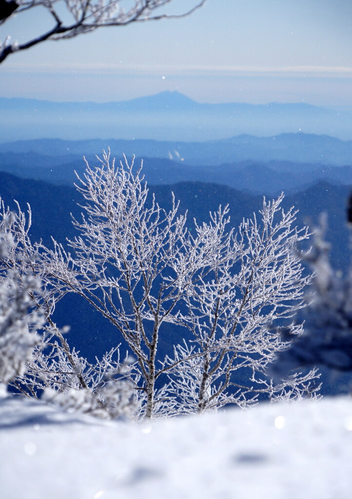 筑波山と霧氷