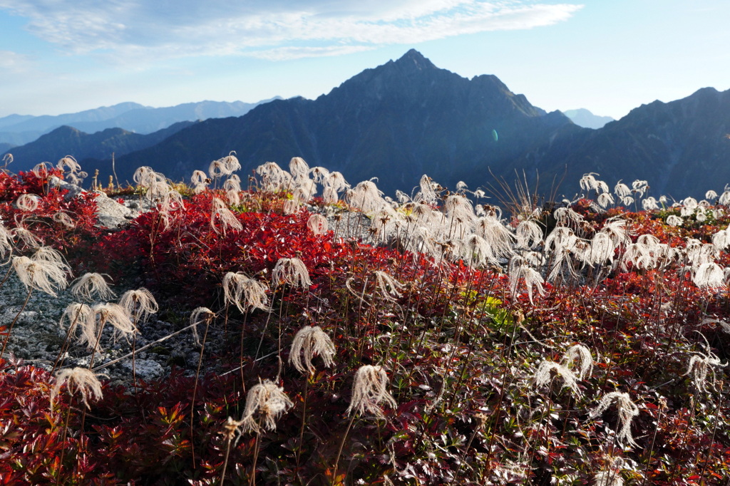 秋の奥大日岳