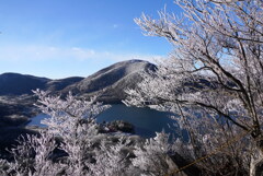 霧氷の赤城