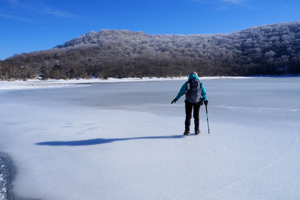 おっかなびっくり