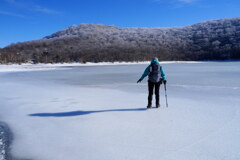 おっかなびっくり