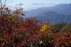 紅葉の山頂から