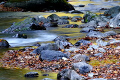 落ち葉の渓流