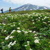 花畑の鳥海山
