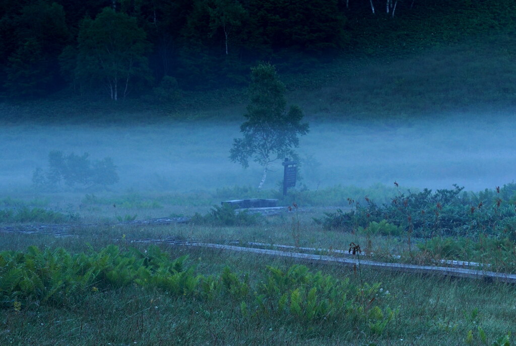 朝霧のベンチ