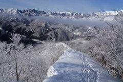 冬の夢