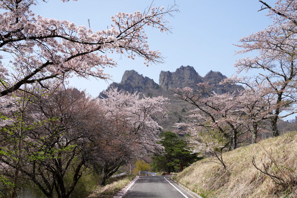 桜咲く妙義山