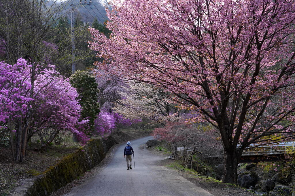 住居附の春