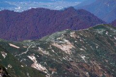 初冬の蓬峠