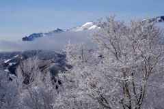 夢氷