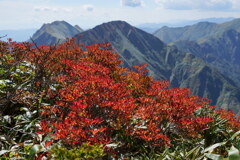紅の谷川岳