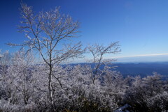 霧氷の季節