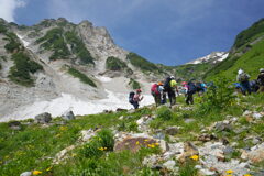 夏山にようこそ