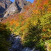 涸れ沢と紅葉