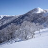 霧氷の日白山