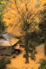 康平寺13