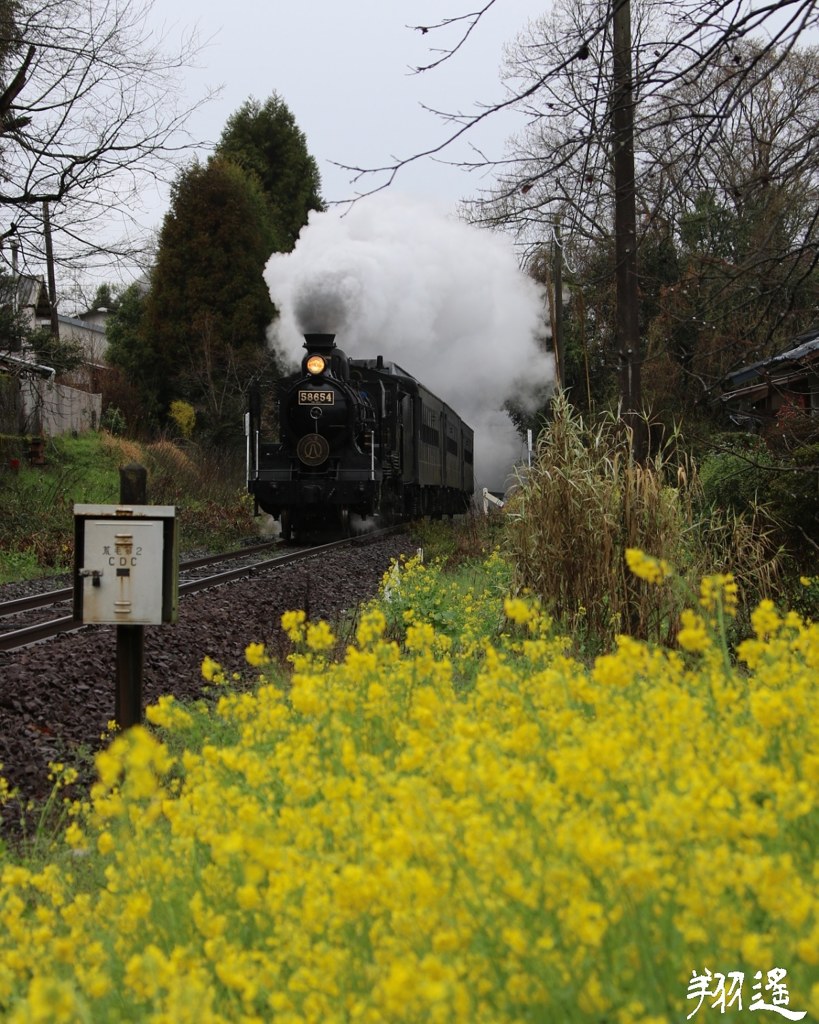 IMG_20180321_125603_461