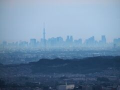Tokyo metropolitan silhouette
