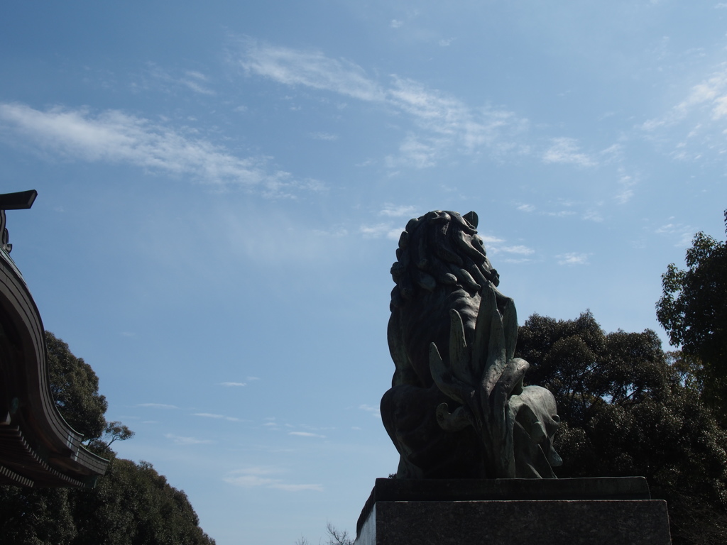 眺める空