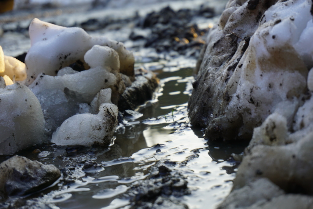 今日だけ、山と川