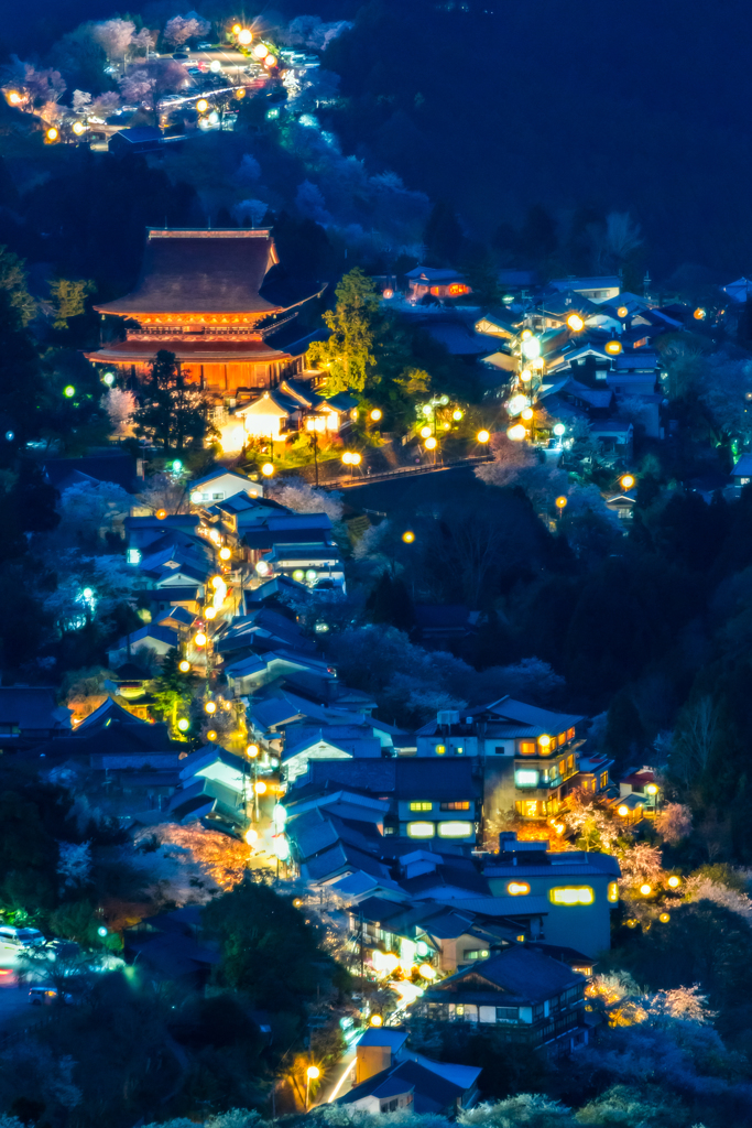 吉野山・桜