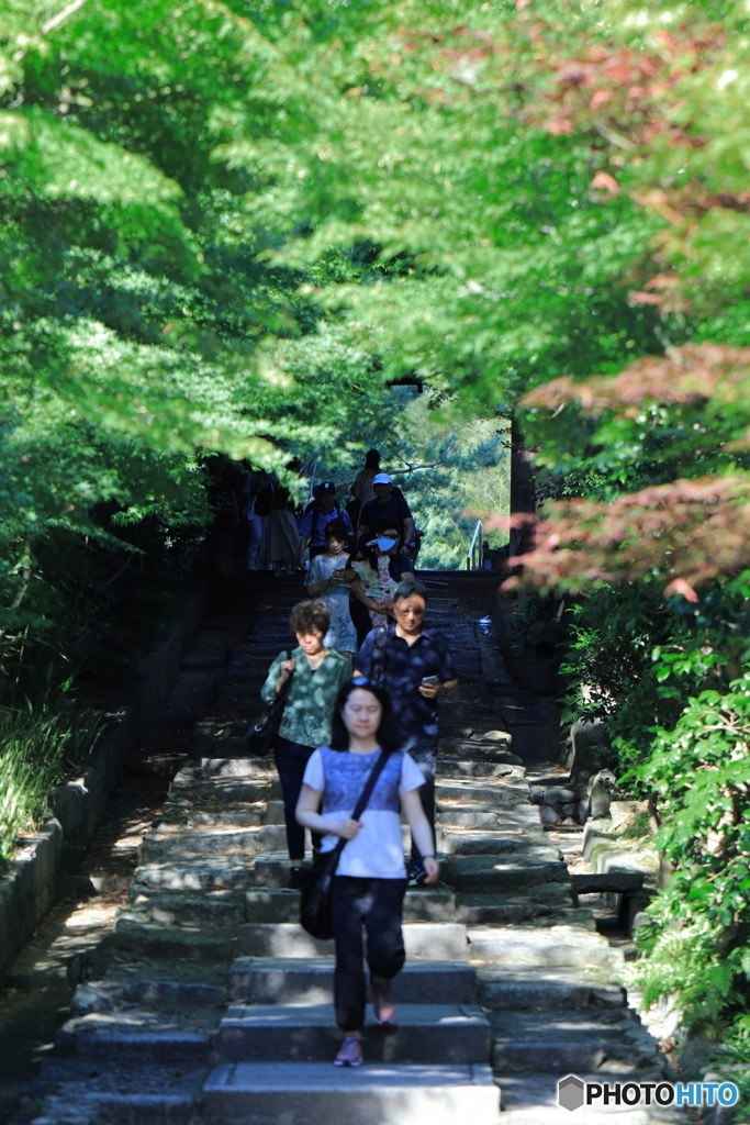 京の夏～高台寺