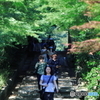 京の夏～高台寺