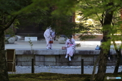 京の夏～高台寺