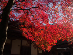 江東三山　西明寺