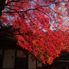 江東三山　西明寺