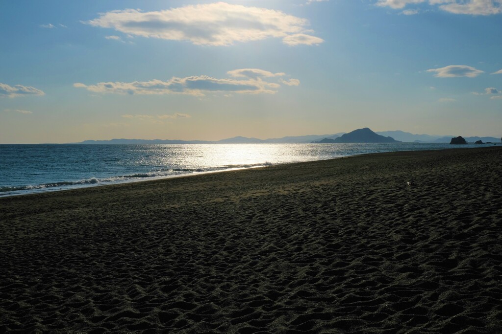 椰子の実の浜
