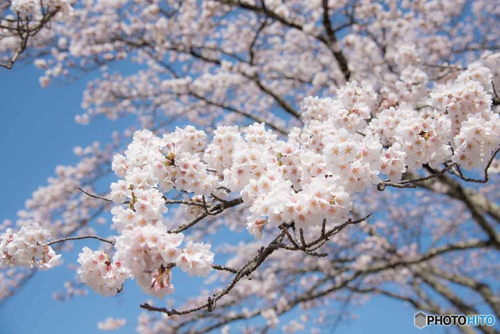 信州の春