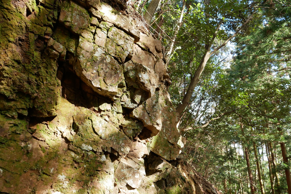 陽のあたる岩