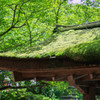 真夏の鞍馬寺