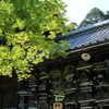 新緑の神社