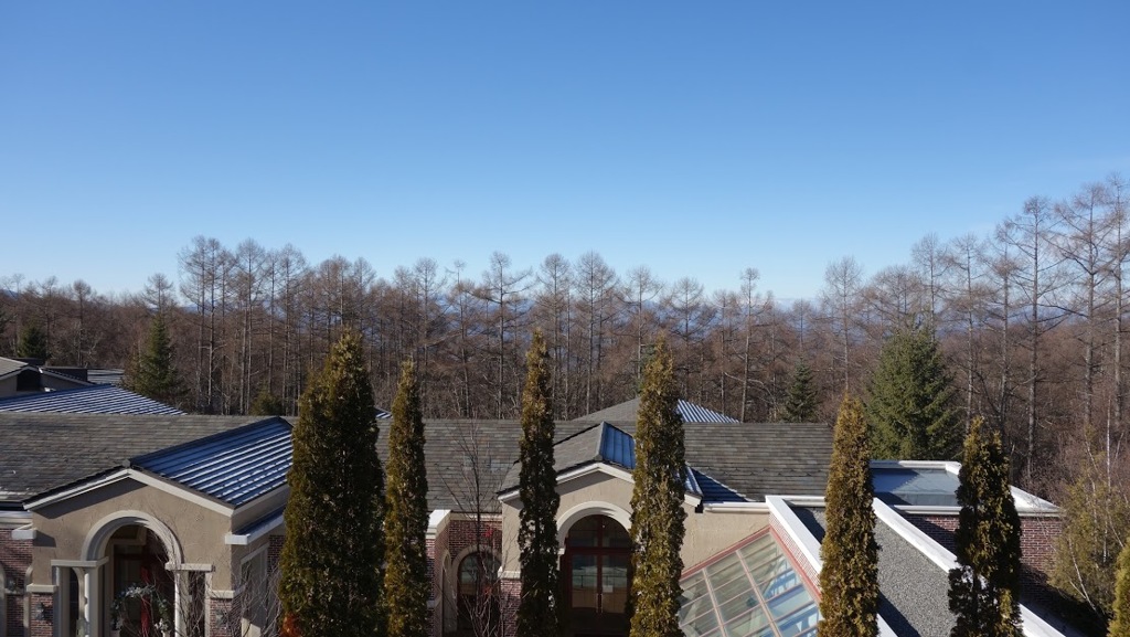 早朝の高原