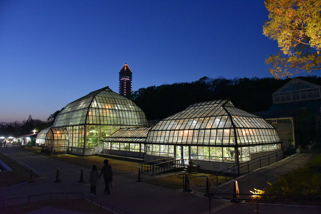 東洋の水晶宮