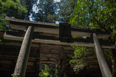 真夏の由岐神社