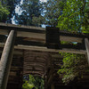 真夏の由岐神社