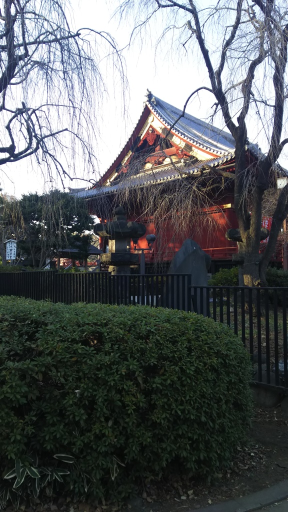 上野に来たら