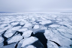 網走流氷