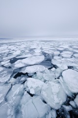 網走流氷