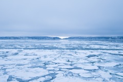 網走流氷