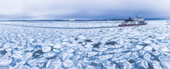 北海道 網走 流氷 